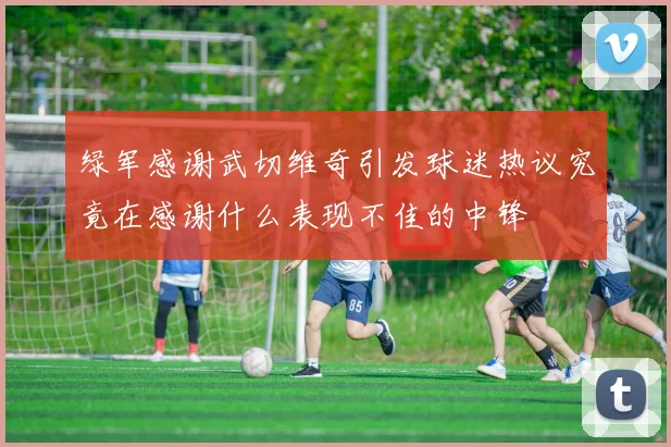 绿军感谢武切维奇引发球迷热议究竟在感谢什么表现不佳的中锋