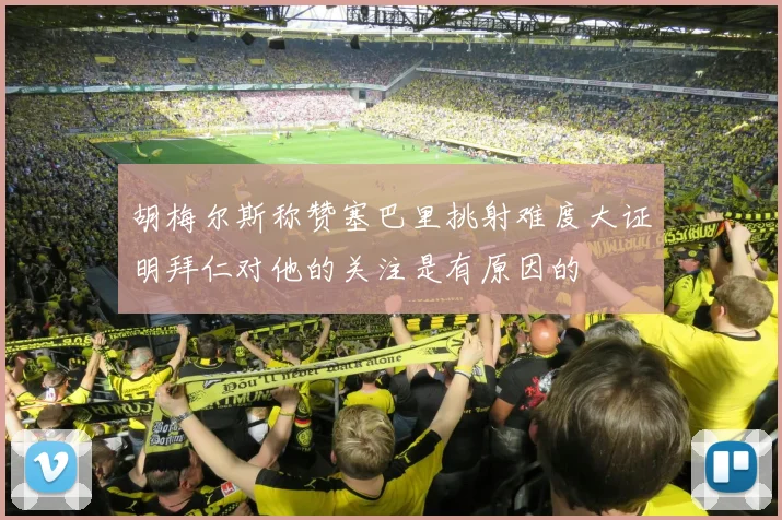 胡梅尔斯称赞塞巴里挑射难度大证明拜仁对他的关注是有原因的