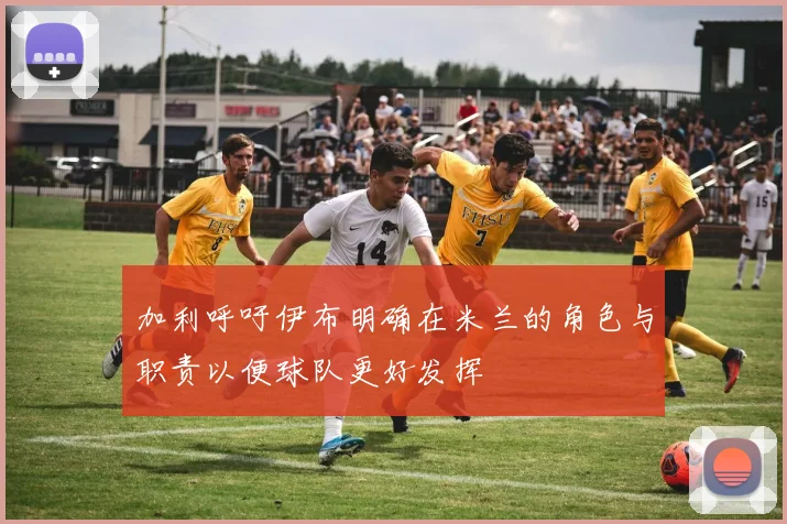 加利呼吁伊布明确在米兰的角色与职责以便球队更好发挥