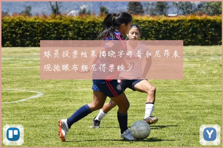 球员投票结果揭晓字母哥和尼昂表现抢眼布朗尼得票较少